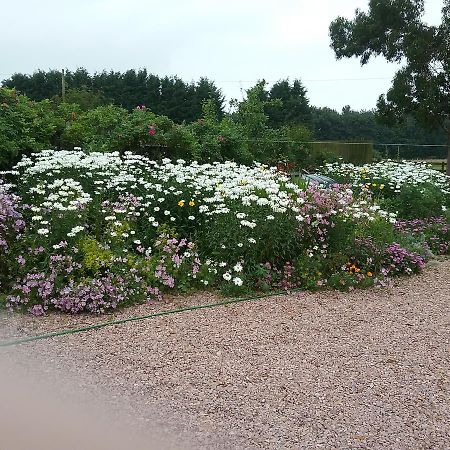 Shangri-La Bed And Breakfast Leuchars Exterior foto